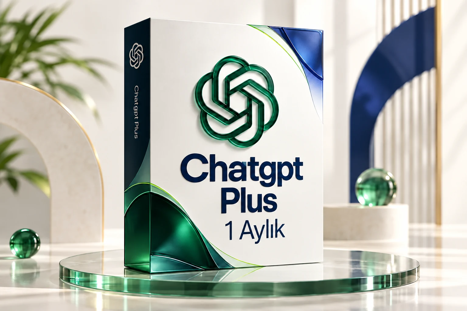 ChatGPT Plus Lisans